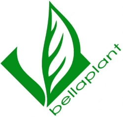 Bellaplant AG